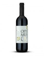 BODRI  Optimus Cuve - 2016